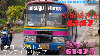 旅ときどきコンサルタントそして猫 ナコーンパトムワンデイトリップ 路線バス6147番 เที่ยวบางครั้งที่ปรึกษาและแมว รถเมล์สาย6147 ガルベラ タイ バンコク