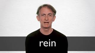 How to pronounce REIN in British English