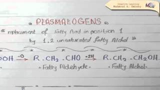 4  Phospholipids Part II, Glycolipids & Proteolipids