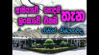 Diyatha uyana/,  දියත උයන, ආසියාවේ හොදම තැන. (අන්තිම වෙනකං බලන්න)