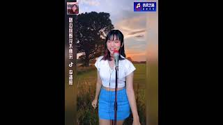 路边的野花不要采-李清照Jenney Lee