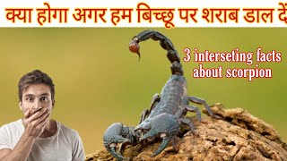 बिच्छू से जुड़े😱कुछ रोचक तथ्य😲।three intresting facts about scorpion।#Shorts।FactShip। rajlodhi