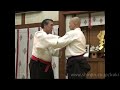 2010 swiss denshukai of kukishinden tenshin hyoho