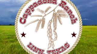 *Cappadona Ranch Mesquite Bean Products*