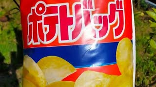 『カルビーポテトバッグ』収穫してみた。