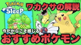 【初心者必見】今だから感じるオススメのポケモンを解説～ワカクサ編～【ポケモンスリープ/安心院幽】