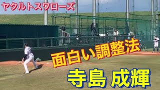 ヤクルトスワローズ　寺島 成輝　独特なブルペン投球！