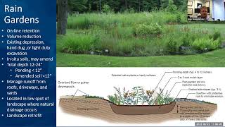 Bioretention and Rain Gardens