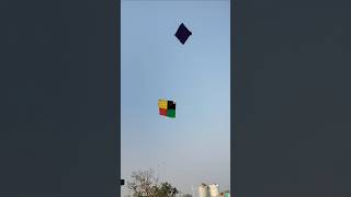 Kite catching by new trick 😱।। #shorts #kitelooting #kitecatching #kite #patang #patangwala #loot