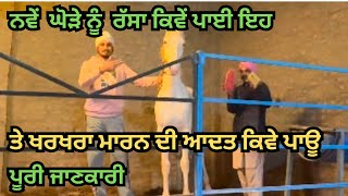 ਘੋੜੇ ਦੇ ਰੱਸਾ ਕਿਵੇਂ ਪਾਈ ਇਹ ਤੇ ਖਰਖਰਾ ਮਰਵਾਉਣ ਦੀ ਆਦਤ ਕਿਵੇ ਪਾਊ ਪੂਰੀ ਜਾਣਕਾਰੀ