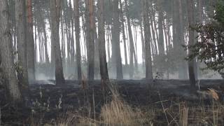 Skutki wielkiego pożaru pod Legnicą!