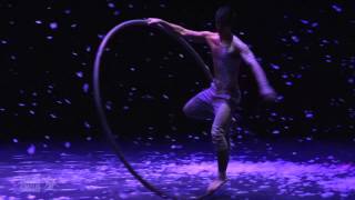 National Institute of Circus Arts - NICA