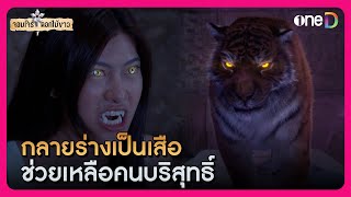 กลายร่างเป็นเสือ ช่วยเหลือผู้บริสุทธิ์ | Highlight #จอมโจรดอกไม้ขาว EP2 | ดูย้อนหลังฟรีทางแอป #oneD