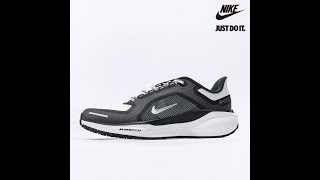 Nike Air Zoom Pegasus 41 GORE-TEX 'Iron Grey Summit White' FQ1356-002