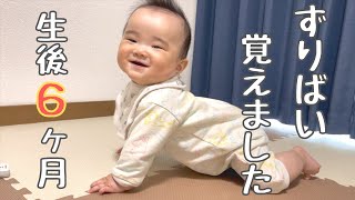 【ズリバイ】生後6ヶ月で出来るようになりました