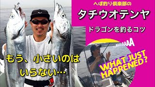 デカいタチウオを釣る【太刀魚テンヤ】大型ドラゴンを狙え