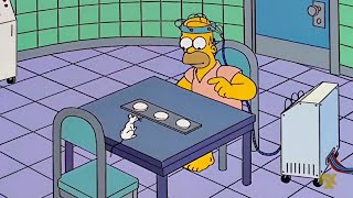 Homero rata de laboratorio - Los Simpson