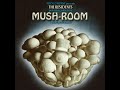 mush room