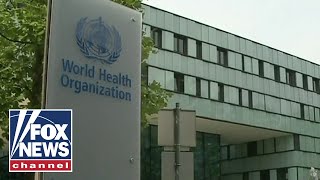 'The Five' calls the World Health Organization 'deadly' amid new controversy