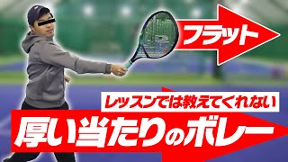 【テニス】上級者が必ずやってる簡単ボレーの打ち方教えます！厚い当たりのボレーでレベルアップ/初心者中級者おすすめレッスン講座〈ぬいさんぽTennis〉