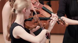 Grieg: String Quartet op. 27 - 3rd Mvt