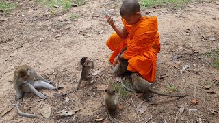 Novice Monk likes to play with monkey baby be happy / Khmer Culture