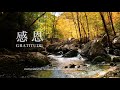 感恩 Gratitude｜等候神音樂 Soaking Music｜舒壓｜睡覺音樂｜放鬆壓力｜情緒治癒 ｜學習音樂 工作音樂 #relaxbgm #streerelief #sleep