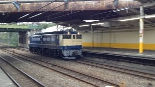 JR東日本EF65形電気機関車（EF65-1102・国鉄色）　単機で新秋津駅を通過