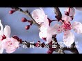 learn chinese from poetry.读古诗学中文，《梅花》宋.王安石