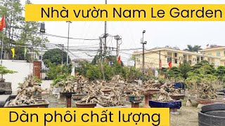 Dàn phôi cực đẹp tại nhà vườn anh Nam Lê