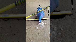 Pigeon trap | bird trap | Part 3.0 #shorts #youtubeshorts #ytshorts