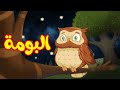 البومة - قناة بلبل BulBul TV