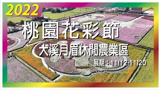 桃園花彩節2022.11.13大溪月眉休閒農業區｜展期：11/12~11/20