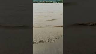 #narayani river#flood #shortsvideo