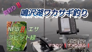 数釣り‼️鳴沢湖のワカサギ釣行。