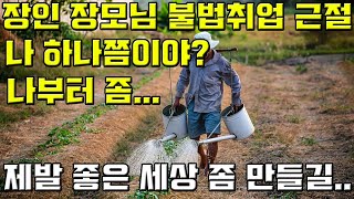 국제결혼 후 장인 장모님 불법 취업을 하면 안 되는 이유!!(Han TV)