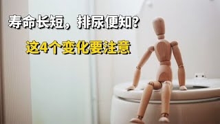 寿命长短，排尿便知？尿液出现4种变化，应尽早检查