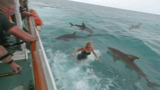 Vacation Gone Wrong: Woman Falls Into Shark-Infested Ocean from Cruise Liner!