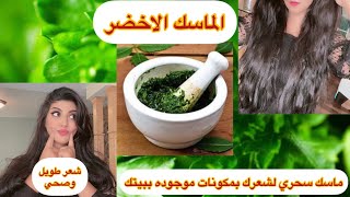 Hair 3💚.الماسك الأخضرلشعرك يعني وداعا للتساقط وياهلا بشعر طويل وصحي وكثيف🔥#شعر_طويل #وداعا_للتساقط