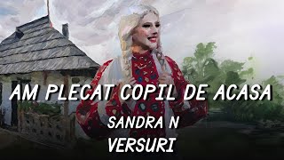 Sandra N - Am plecat copil de acasă | Lyric Video