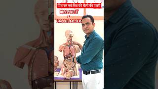 Bile Juice \u0026 Gallbladder Stone | पित्त रस एवं पित्त की थैली की पथरी #viral #shorts