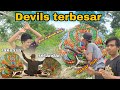 BARONG DEVILS TERBESAR PASANG JAMANG, HASILNYA LUAR BIASA, SEREM BANGET!!!