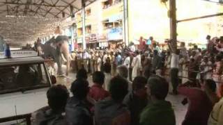 Elephant Race(Guruvayoor Temple)