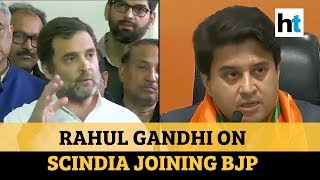 ‘He will understand soon’:  Rahul Gandhi on Jyotiraditya Scindia joining BJP