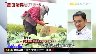 【聚焦真相】高麗菜入秋又「紫爆」 農糧署發超種警訊 @newsebc