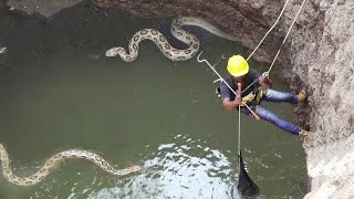 15 Most Surprising Things Caught On Camera #2