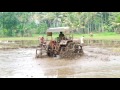 പുഞ്ചകൃഷി അമ്പുനാട്