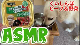 【ASMR】ちろがウェットフードを食べる音が好き