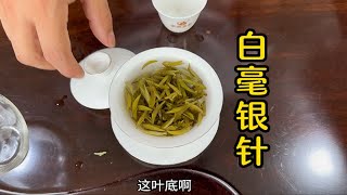 核心产区的福鼎白茶什么样子？大鹏来到南广，拿下200斤白毫银针