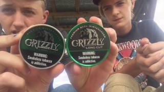 Grizzly dark wintergreen review